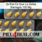 What Is Kamagra Jelly 100Mg cialis2
